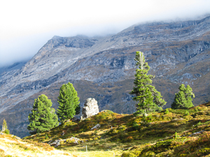 Engstligenalp