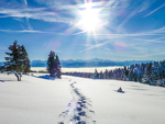 Im Schnee